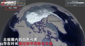 2050年北极海冰可能完全消失意味着什么 北极的动物怎么办