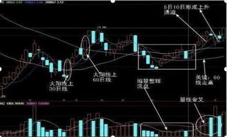 尾盘三点整一个超大单买入是什么意思