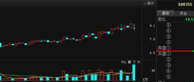 600355精伦电子未来3个月走势如何?