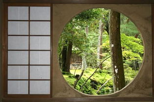 日本京都随处可见的青苔,竟成了这里活生生的文物 