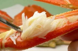 舌尖上的北海道帝王蟹 满足你对食物的热爱 