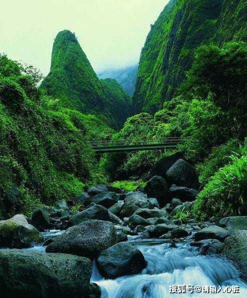 藏在贵州深山之中的怎雷村,中国传统村落,一幅绝美的山野村居图