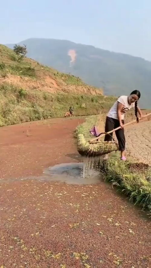 以为是条路实际是捞鱼 