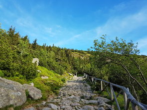 隐匿山谷的性故事，山村秘闻与人性探索，《山村》