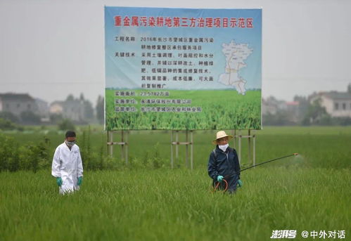 时隔40年,中国再次启动土壤普查意义重大