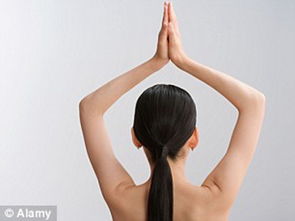 美国裸体瑜伽 美国裸体瑜伽是一种最纯净的健康减肥运动