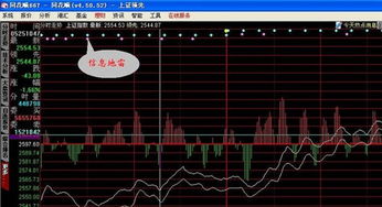 同花顺信息地雷大单解密有什么作用？如图说明了什么？