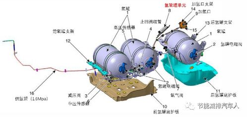 nexo是啥,个人简介