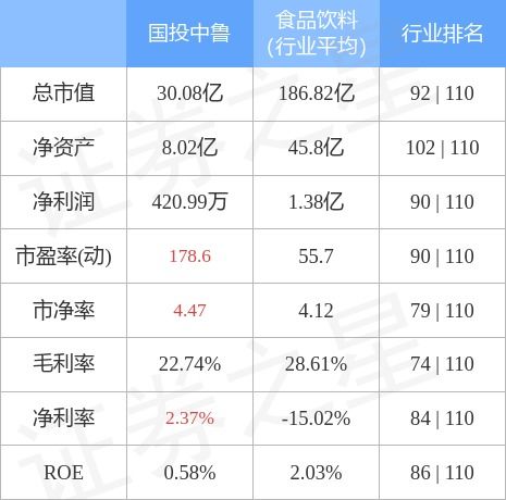 国投中鲁600962股吧