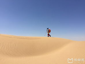 遨游天地间 相忘于江湖 沙漠之约