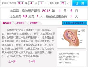 最后一次例假是四月二十五号到现在怀孕多久了