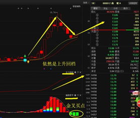 买“南玻A”这支股票好吗？为什么啊