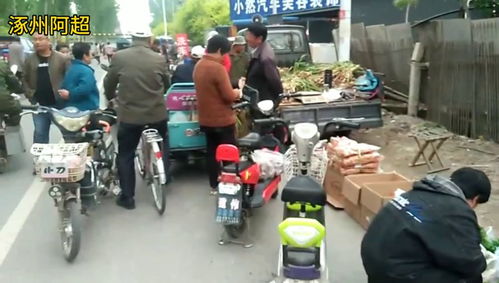 涿州乡村市场东西可真便宜呀 买的人真多,咱们一起去逛逛都有啥 