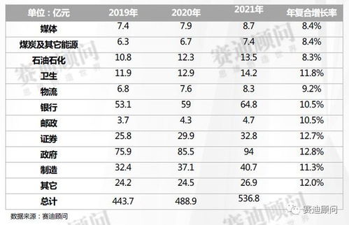 2019 2021年中国平台软件市场预测与展望数据