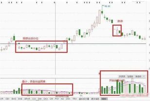 "；出货的过程也同样漫长，到后期时不计价格的抛，这些大家都应注意。"；什么意思？庄家不能全部一下卖掉吗