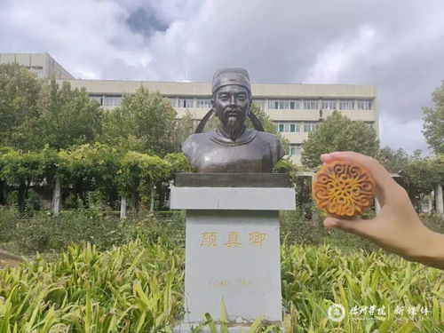 山东所有二本三本大学名单