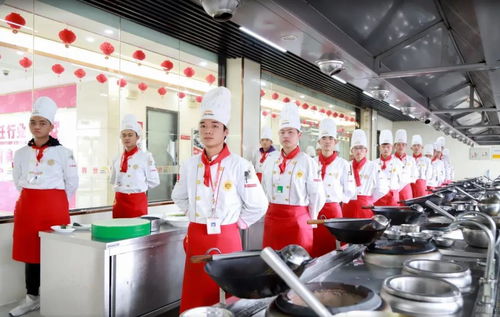 蚌埠哪里有学厨师,新东方技校有哪些专业何时开学？