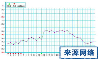 怎样量体温