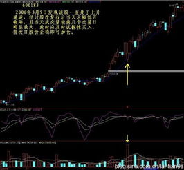 复权后价格最高（曾经到过的最大值）的前20名股票？