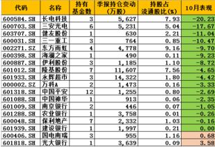 长江电力可以买吗