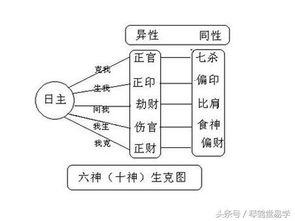 简单易学 八字十神叠遇直断法 