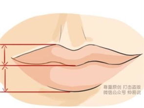 这种面相的人不可信