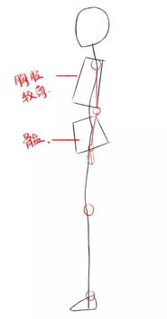 角色人物侧身应该怎么画 教你男生与女生侧身的绘画技巧