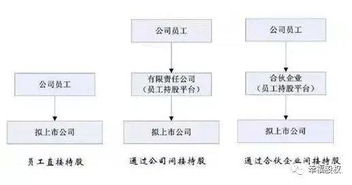 员工持股平台 个人 公司 有限合伙有何不同