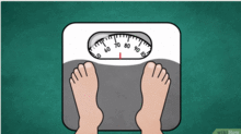 减肥期应该在哪个 时间点 称体重 难怪每次都不一样
