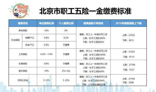 住房公积金个人可以缴纳吗