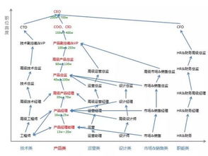 请问CTO CMO CEO CFO全称，具体什么职能，怎样任命的？