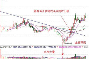 蜂狂购的公司全名叫什么