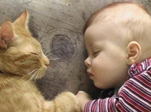 猫咪为什么可以容忍你家孩子 5个原因,告诉你孩子与猫咪玩得很好