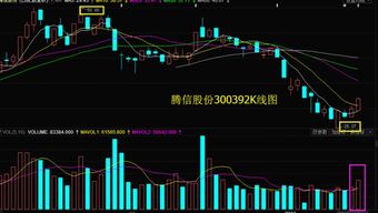 腾信股份（300392）今日停牌的原因是什么