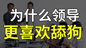 领导车被砸要怎么舔得过同事 网上那些笑死人的沙雕图 17