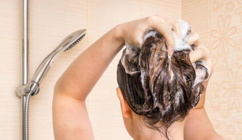 为何头发越洗越少 或与4个因素有关,日常要注意
