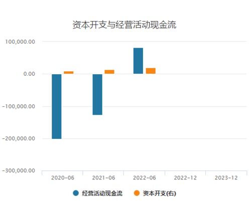 国电电力上半年火电业绩大幅提升，天风证券维持“买入”评级