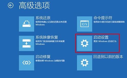 win10进不了windows系统,电脑启动后进入不了windows界面怎么办