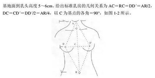 是不是大的胸容易下垂 胸部下垂的原因及如何预防 