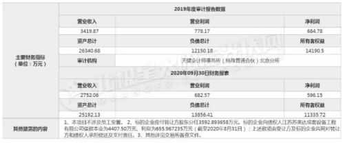 公司股权转让进行国有土地买卖如何操作，能具体说下吗