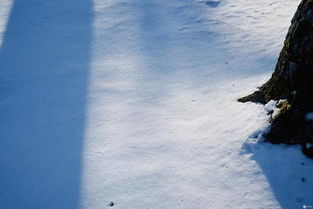 北海道 你的名字也是雪国 中