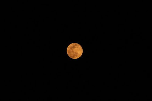 摄影图片 最圆月8日现身,来看看网友拍的超级月亮