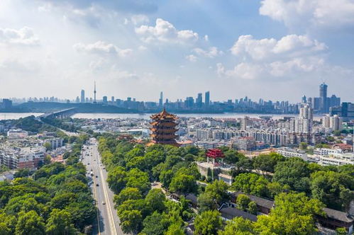 武汉的旅游景点,武汉的旅游景点有哪些最出名