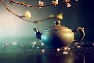 关于春天和茶的诗句
