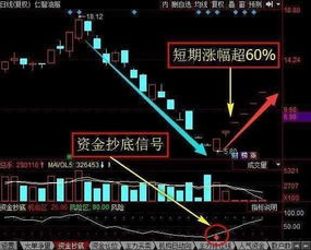 股票“抄底”失败的原因有哪些