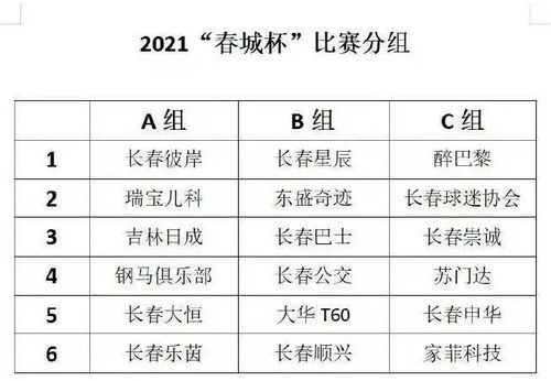 业余足球队配备规则表格,业余足球队配备规则表格图片