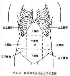 右上腹部疼痛的病因