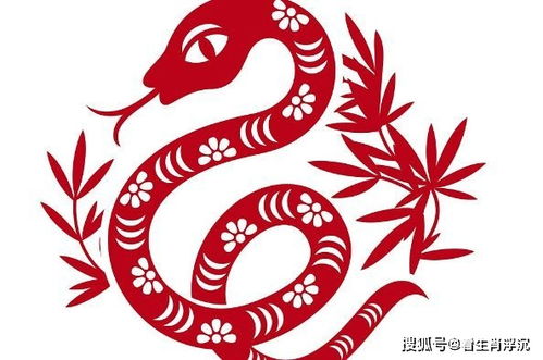 77年生肖蛇11月底要大难临头,能躲过后福无穷