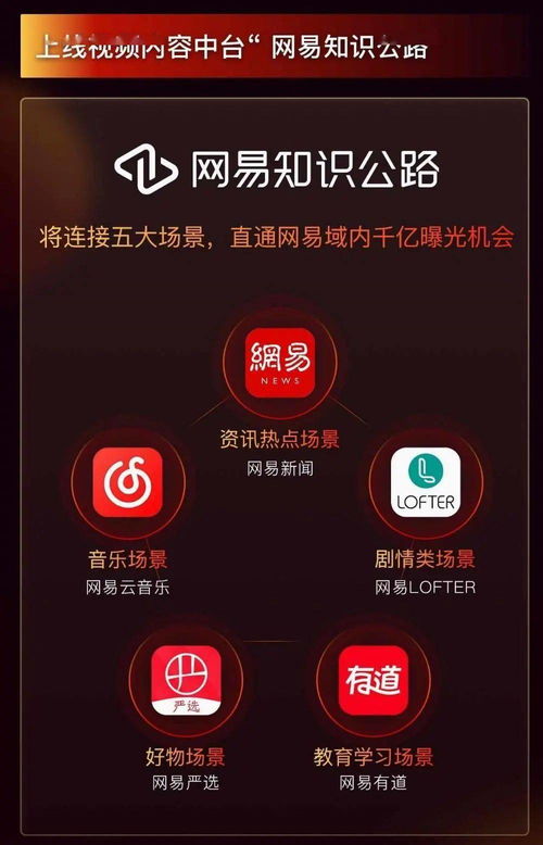 投入10亿 网易要正式进入视频领域