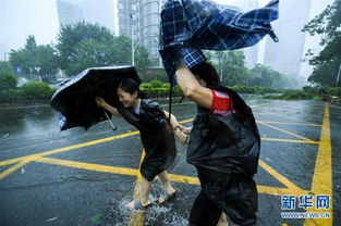 江门台风山竹登陆 广州市大风暴雨 